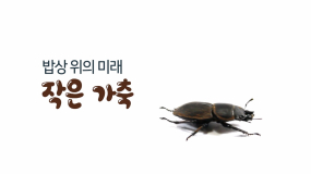 밥상 위의 미래 작은 가축