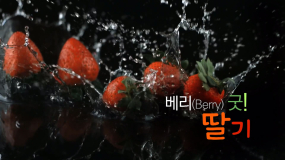 베리(Berry) 굿! 딸기