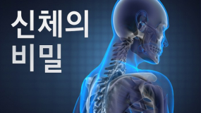 [카드뉴스] 신체의 비밀