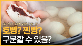 [두둥탁] 호빵 찐빵..어떤 차이가 있는 걸까요? 