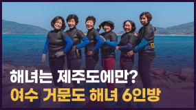 [현장 인터뷰] 해녀는 제주도에만 있다?