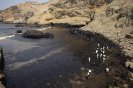 페루, 해상 기름유출 사고 관련 6조 원대 피해 보상 청구 소송