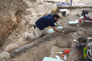 이스라엘서 50만년전 거대 코끼리 상아 화석 발견
