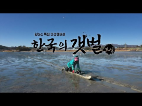 한국의 갯벌 (보성)