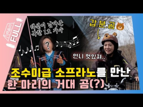 03월 19일 방송 <백장미의 솔캠 라이브> 전남 담양 캠핑