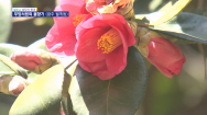 [남도의 풍경]봄 향기 가득한 무양서원-광주 월계동(7)