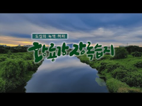특집 다큐멘터리 도심의 녹색 허파 황룡강 장록습지