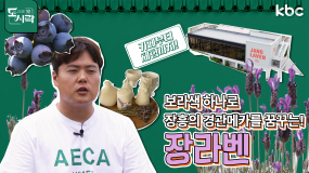 7월 7일 방송 <시골이라 다행이야> 보랏빛 향기의 사나이 '장흥 청년 농부'