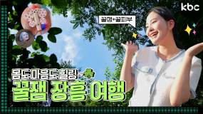 7월 28일 방송 <꿀잼남도> 물과 자연의 힐링 '장흥 여행'