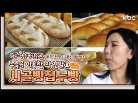 8월 25일 방송 <빵지순례> 효모가 살아있는 무안 누룩빵