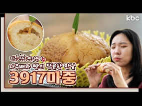 11월 17일 방송 <빵지순례> 나주 배의 무한 변신 '나주 배빵'