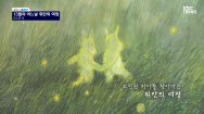 [KBC갤러리]13월의 어느 날 - 유소연作(유스퀘어문화관 금호갤러리)
