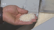 전남쌀 새청무, CU편의점 가공식품용 공급