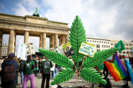 독일, 4월부터 대마초 '합법'.. 25g 소지ㆍ3그루 재배 허용
