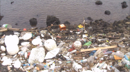 해양 플라스틱의 무덤은 해저?…