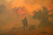그리스 크레타섬에 또 대형 산불..주민 대피령