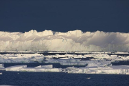북극 이어 남극도 지구 온난화 타격..기온 38.5도 수직 상승