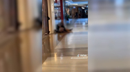 [영상]호주 시드니 쇼핑몰서 흉기 난동 6명 사망..수백 명 대피