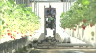 광주·전남·북, AI 융합 지능형 농업생태계 구축한다