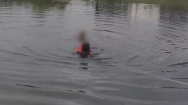 물에 빠진 남성 구한 경찰, 난동에 테이저건 제압