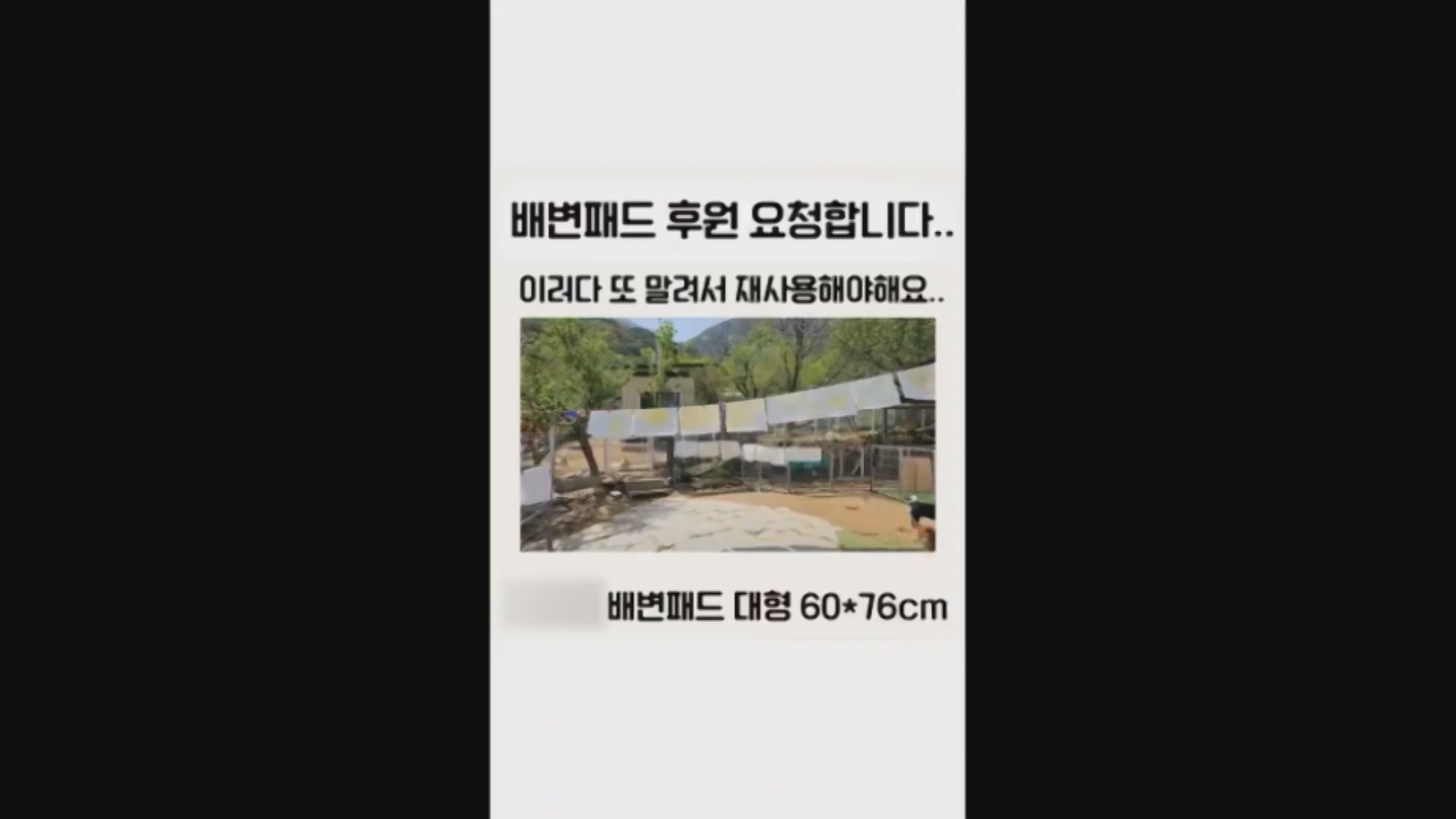 '여배우들도 속았다'…'거짓 SNS 홍보'에 후원금 쾌척?