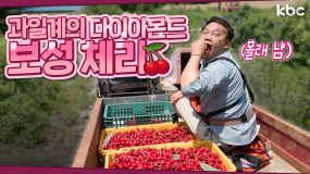 🍒 몰래 계속 먹게되는 새콤달콤 보성에서 제일 귀한(?) 과일 | 보성 체리