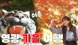 🍁가을이오면~🍁영광에서 단풍도보고 호랑이 기운도 받아가세요! 어흥🐯 | 전라남도 영광군