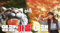 🍁가을이오면~🍁영광에서 단풍도보고 호랑이 기운도 받아가세요! 어흥🐯 | 전라남도 영광군