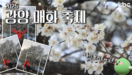 봄바람 휘날리며~🌸 찾아간 봄 대표 축제 《 2025 광양 매화 축제 》 | 광양시