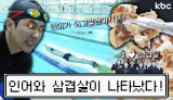 광주에 인어가 나타났다↗ 인어가 못되면 삼.겹.살.회.식은 없어! 핀수영 한판승부🧜 | 광주 광역시