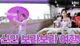 전국 보라돌이는 무료입장↗ 신안 퍼플섬 🪻라벤더 축제🪻 & 맛집 탐방 | 꿀잼남도