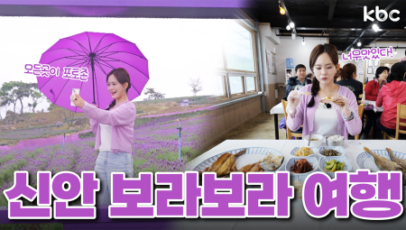 전국 보라돌이는 무료입장↗ 신안 퍼플섬 🪻라벤더 축제🪻 & 맛집 탐방 | 꿀잼남도