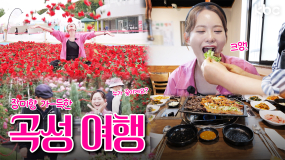 🚨예쁨주의보🚨장미향 가-득한 고창에서 즐기는🌹장미축제&깨비정식🌹| 꿀잼남도