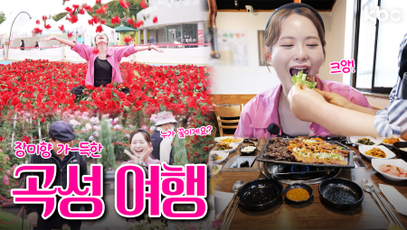 🚨예쁨주의보🚨장미향 가-득한 고창에서 즐기는🌹장미축제&깨비정식🌹| 꿀잼남도