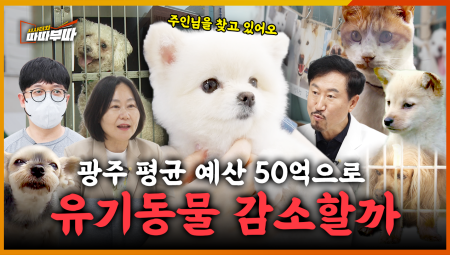  유기 동물들아🐕 새 주인 말 잘 듣고 건강하고 행복하게 오래 살아야 한다~🖐️ 귀여울 땐 가족, 질리면 유기... 갈 곳 잃은 유기 동물 <2025. 6. 2. 방송>