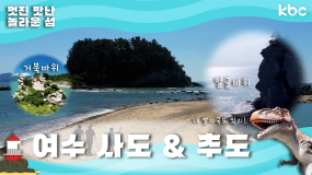✉️신비한 섬의 세계로 초대합니다✉️ 여수 사도섬 + 추도섬 | 섬섬섬