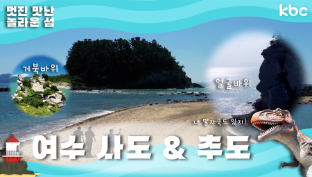 ✉️신비한 섬의 세계로 초대합니다✉️ 여수 사도섬 + 추도섬 | 섬섬섬