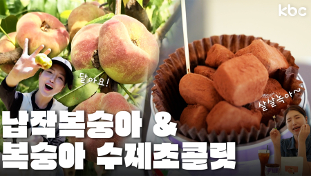 지친여름 🍑납작복숭아 & 복숭아생초콜릿🍑으로 당완충🔋 | 화순군