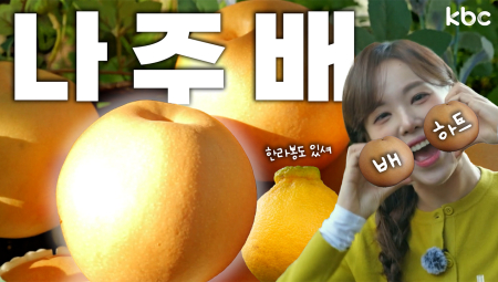 ♥️맛있겠주♥️먹고싶주♥️ 상큼 아삭 시원한 나주배 | 나주시