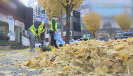 수백 톤 낙엽은 어디로 가나...매립 아닌 재활용 방안 필요