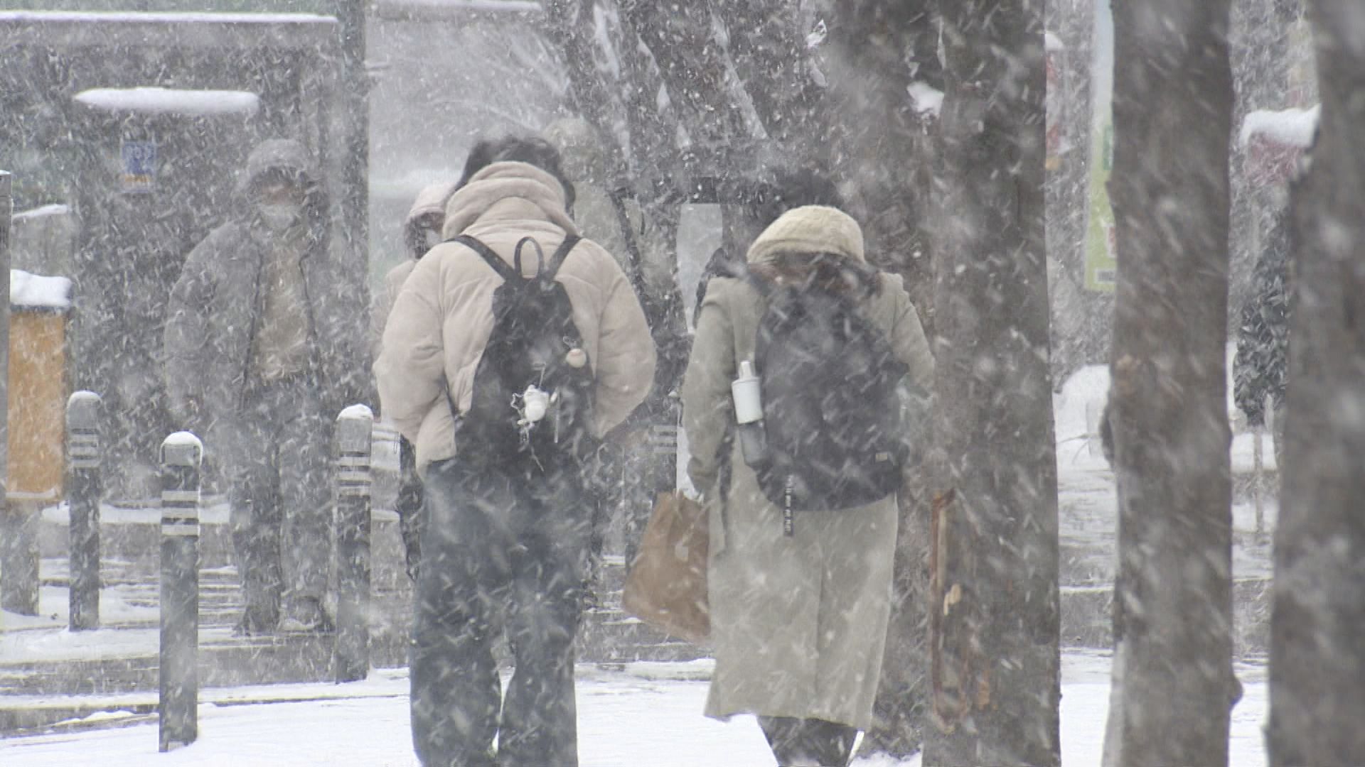 "광주·전남 대설·한파 특보...최고 24cm 쌓이고 기온 영하 10도 뚝"