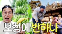 보성에가면 무농약 바나나에 고택체험 까지! 이러니 내가 보성에 반하나? | 보성군