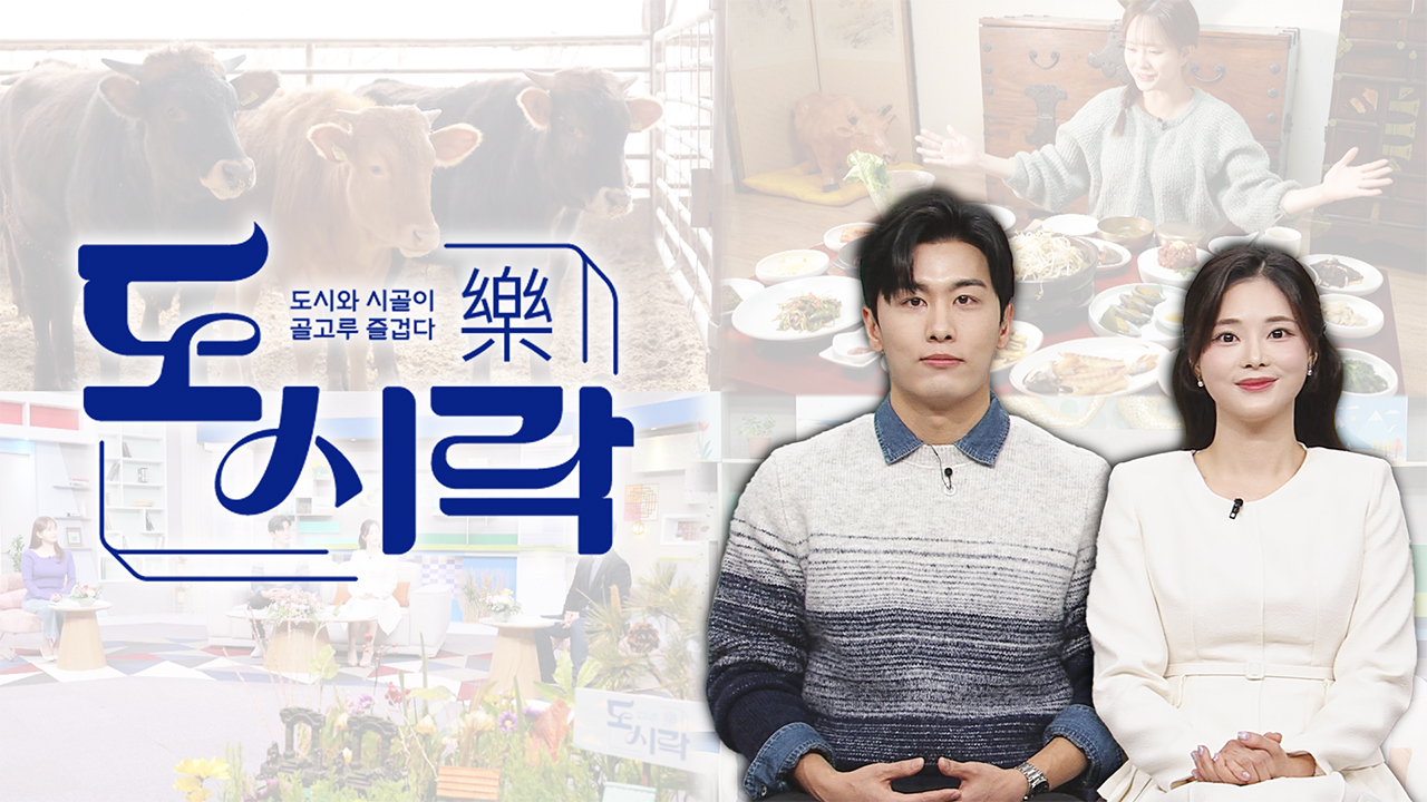 2026-02-06 도시락 129회