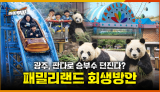 [88회] 광주 우치공원 판다 유치, 현실성은? <2026. 2. 23. 방송>