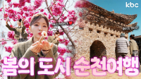 전국 첫 홍매화 개화🌸봄의 도시 순천여행🌸 | 순천시