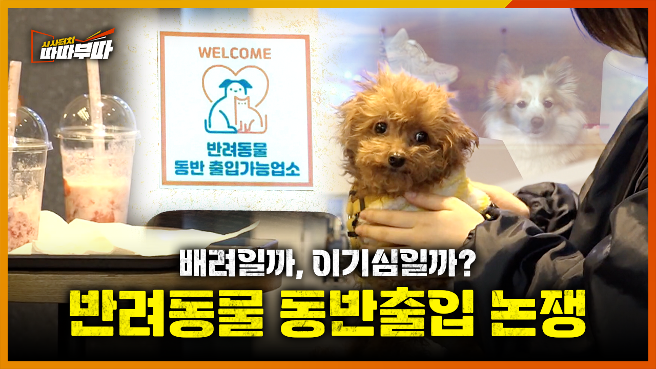  견주들은 멘탈이 완전히 나가버렸습니다 <2026. 3. 27. 방송>