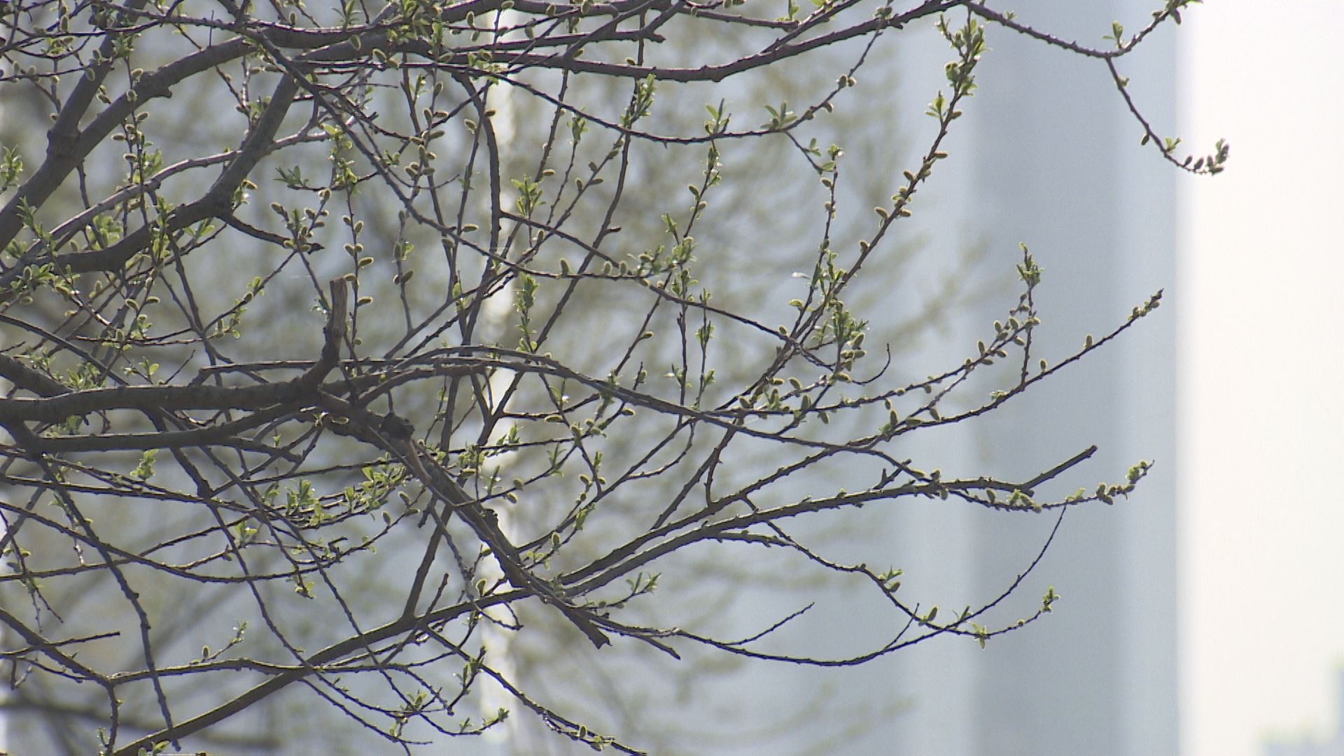 전국 대체로 맑지만 '매우 건조' 산불 유의…미세먼지 '나쁨'