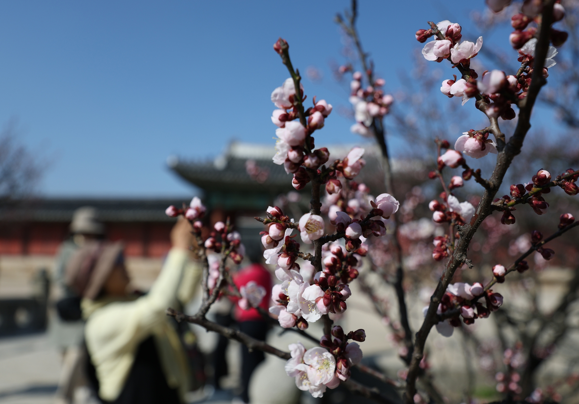전국 대체로 '흐림'...일교차 15~20도로 커