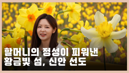 할머니의 정성이 피워낸 황금빛 섬, 신안 선도에 가야 하는 이유 | 신안군