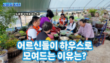 어르신들이 하우스로 모여드는 이유는?